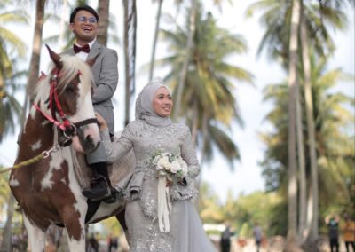 Wedding Photo With Horse